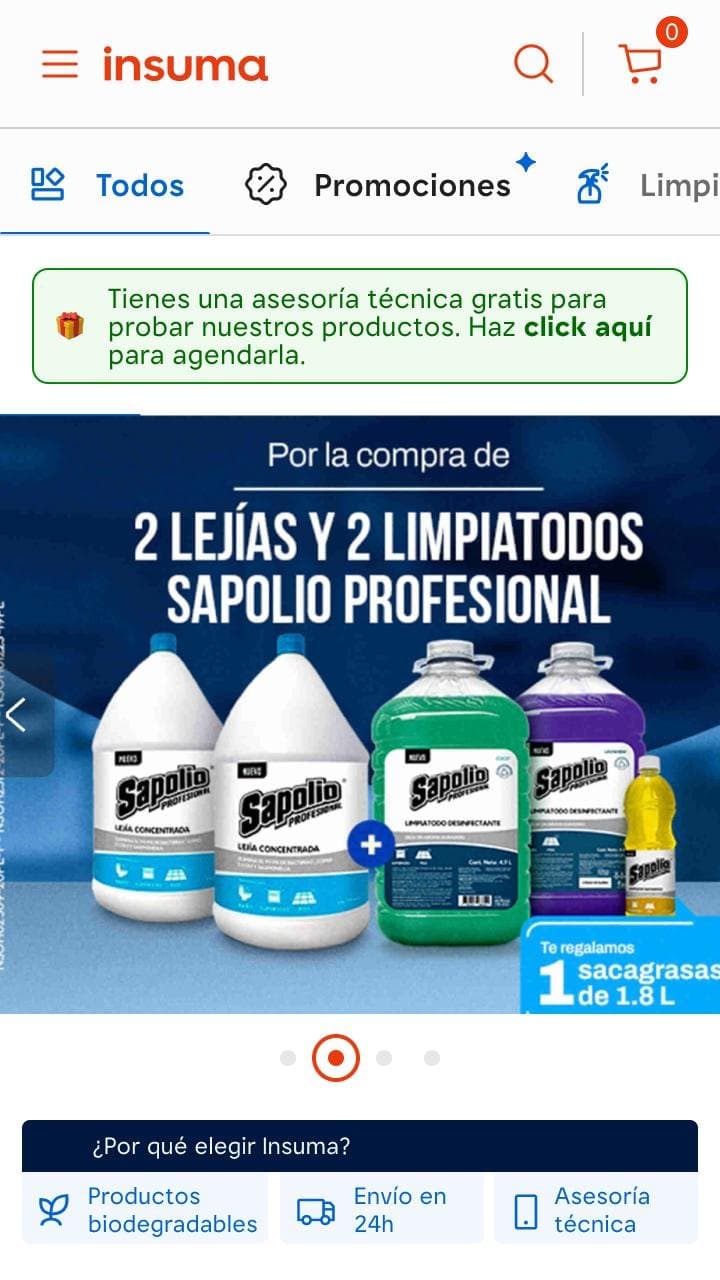 Home for cleaning businesses: free technical consulting banner and a Sapolio Profesional bundle